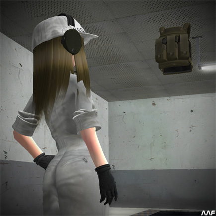 続FAPC制作中です。