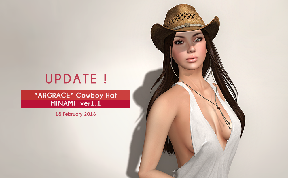 MINAMI アップデート v1.1