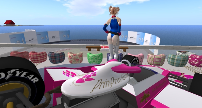 ということで,パドックレポート01!