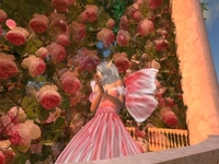 薔薇に合わせて