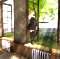 新作＆限定LB