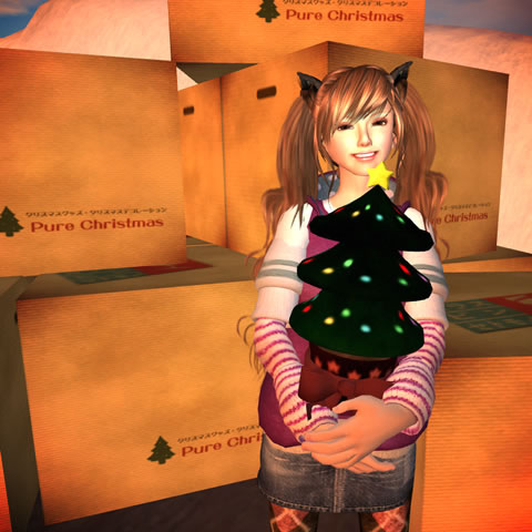 クリスマス準備中!