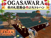 Ogasawara秋の催し