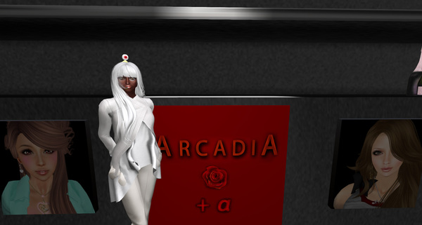 ARCADIA+α open