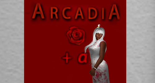 オープン！　ＡＲＣＡＤＩＡ＋α