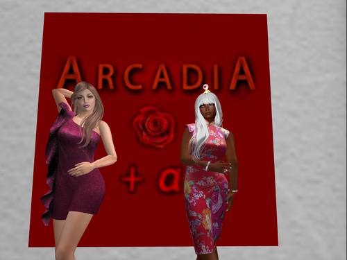 今日も開いてます＾＾　ARCADIA