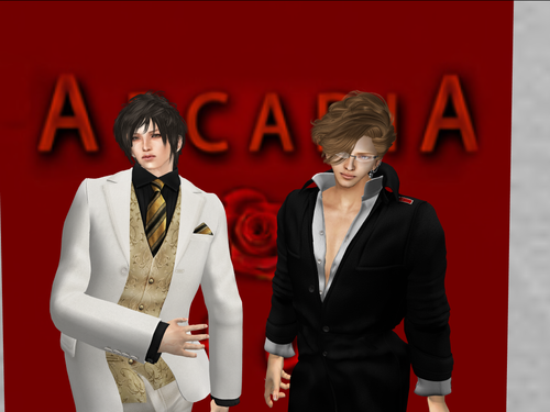 ARCADIA営業中