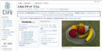 セカンドライフwiki-スカルプの記事&FAQ