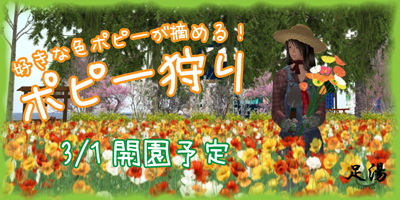 好きな色のポピーが摘める!足湯ポピー園(予告)