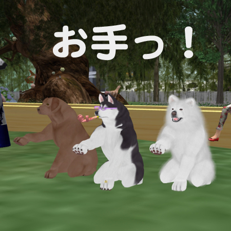 わんこ、お手っ