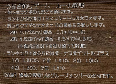 うなぎ釣り♪賞金有り うなぎ釣り♪賞金有り