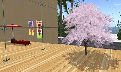 *夢と花*桜祭り会場から^^