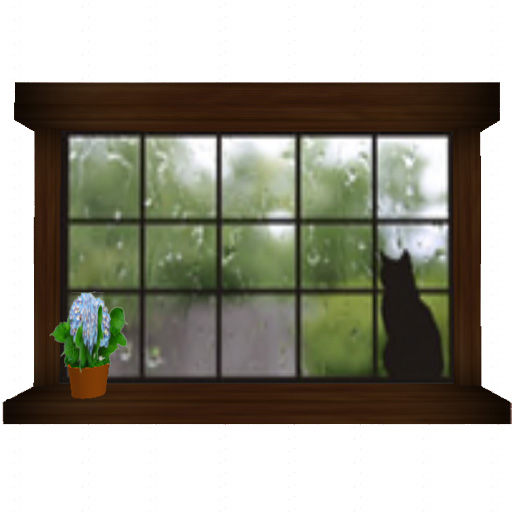 梅雨も楽しく♪雨の降る窓^^