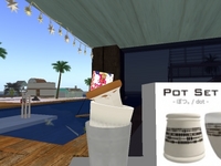 トレハン情報(小笠原3