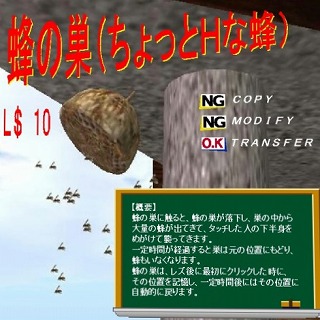 四季トレハン^^お宝2