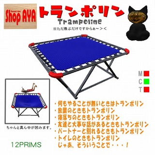 お宝4♪清水ハント