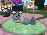 トレハン情報(小笠原3