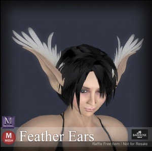 New Raffleアイテムの追加です。