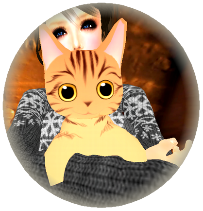 抱き猫~♪