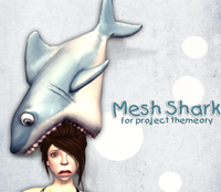 ::BB:: Themeory Shark