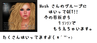 Hush ｻﾝのｸﾞﾙｰﾌﾟｷﾞﾌﾄ　　1ﾘﾝﾘﾝ