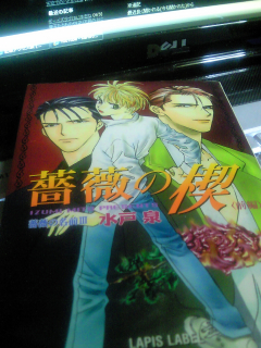 ボーイズラブ(BL)本をね2