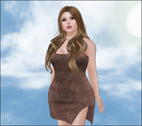 Advent Calendar Gift (Free)
