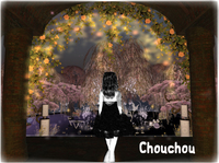 Chouchou sim