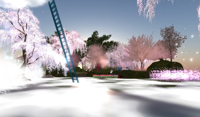 桜の庭