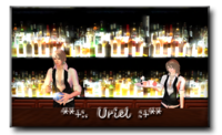 どきどきの営業報告＾＾；