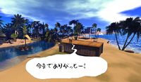 アイスさむい