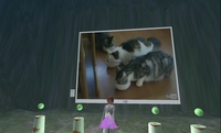 ねこねこテレビだにゃん