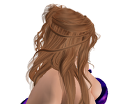 SLF&O Group Gift  *Hair