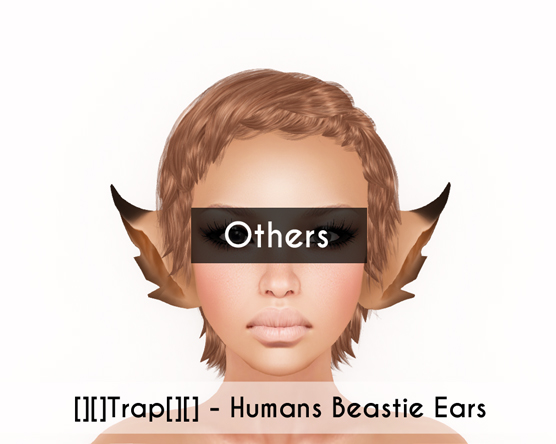 Memo :: Ears
