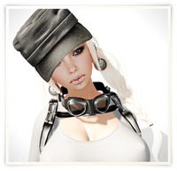 Holster
