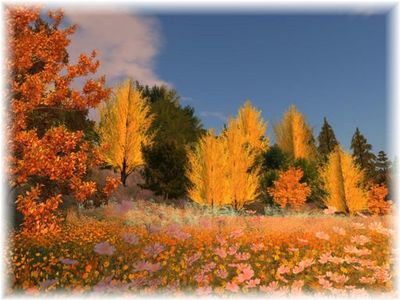 紅葉な風景@forest feast
