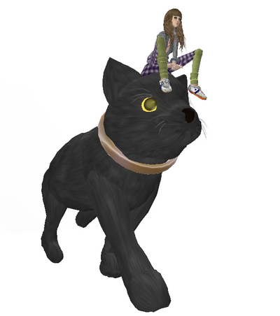 LBの巨大ねこ@