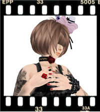 新作＠!SyDS! & [P/a]ｷﾞﾌﾄ
