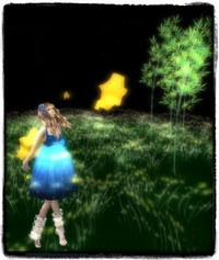 Star Festival@+mocha+