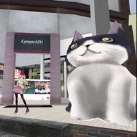 甘いロリータなお店と１$SKYBOX