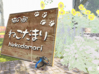 ねこだまりさんのハントイベント行ってきました！