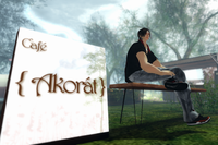 Akorátさんのミニハント