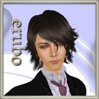 【Paladin】erubo Firecaster