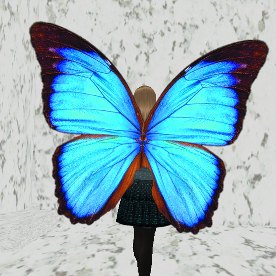*butterfly wings*