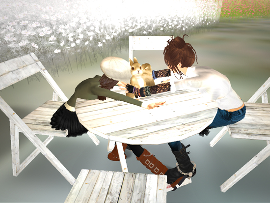 *banbi&coco♥*