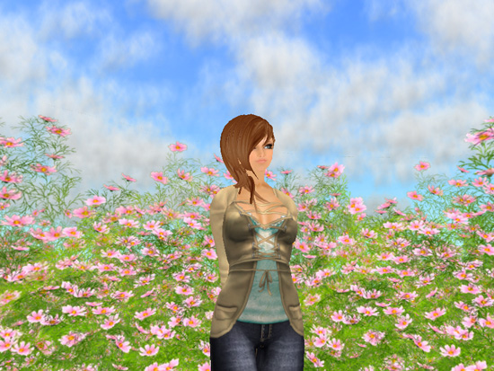 *Cosmos flowers*