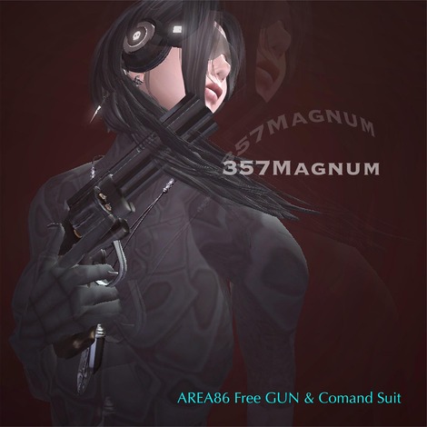 Free GUN///357Magnum