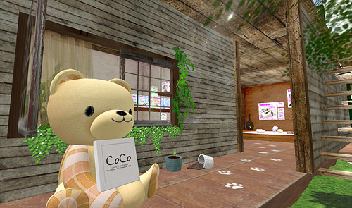新店舗：[CoCo] pareja店のお知らせ
