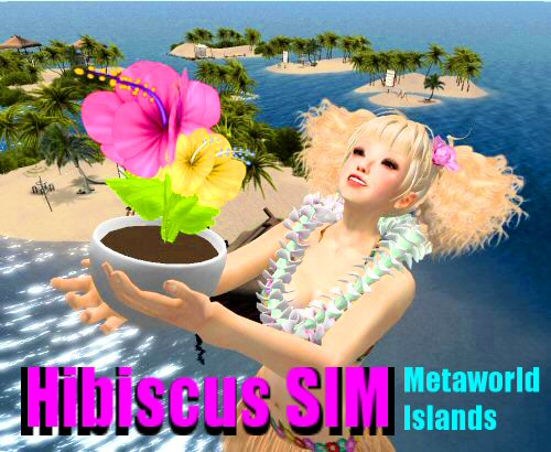 夏のビーチはHybiscus SIMがイチオシ～