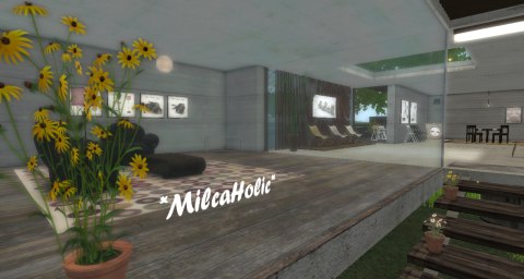インテリアショップ。*MilcaHolic*様:Japan